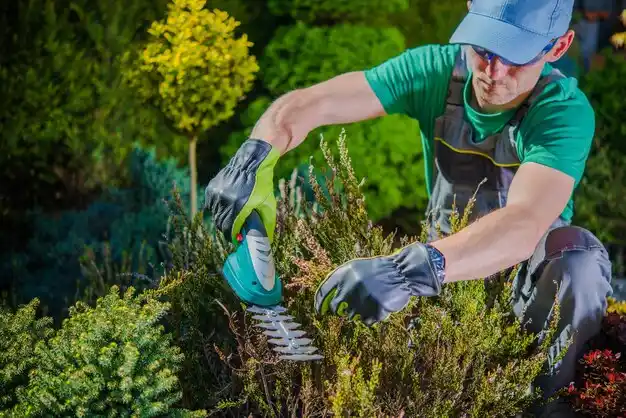 landscaping services Plandome Heights